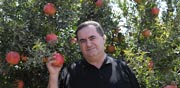 ישראל כץ/ צילום: זיגי