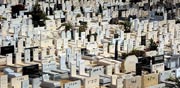 בית עלמין / צילום אילוסטרציה: איל יצהר