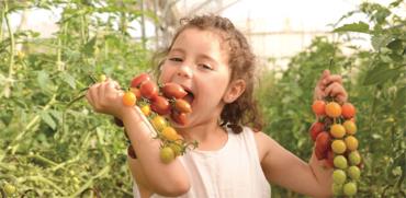 שביל הסלט / צילום: מיטל סטרז
